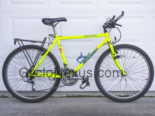 Nishiki Manitoba scheda tecnica e recensioni